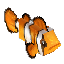 Clownfish