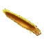 Moray Eel
