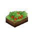 Wild Berry Salad
