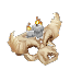 Feran Torch