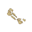 Bone Fragments