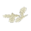 White Feathers