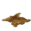 Heavy Hide