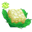 Essence of Life (Cauliflower)