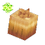 Essence of Life (Onion)