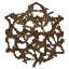 Brown Mushroom Mycelium