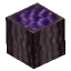 Purple Mushroom Trunk