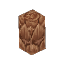 Wet Fern Trunk