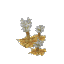 Sandylion