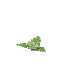 Jungle Flower