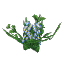 Blue Flax