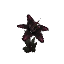 Black Orchid