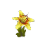Yellow Orchid