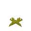 Short Yellow Moss