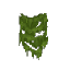 Green Wall Moss