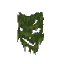 Dark Green Wall Moss