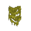 Yellow Wall Moss