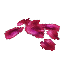 Blood Petals