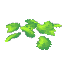 Green Petals