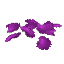 Purple Petals