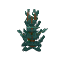 Cedar Sapling