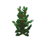Spruce Sapling
