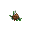 Pinecone