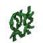 Vine
