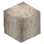Birch Tree Trunk