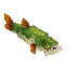 Any Legendary Fish