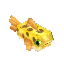 Any Rare Fish