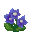 Any Flower
