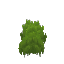 Any Moss