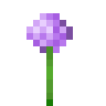 Alyum
