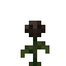 Wither Gülü