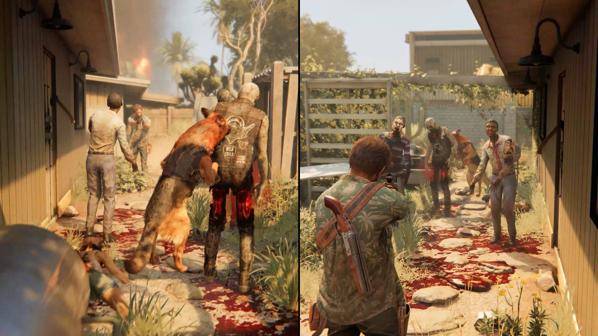Split-screen desteği