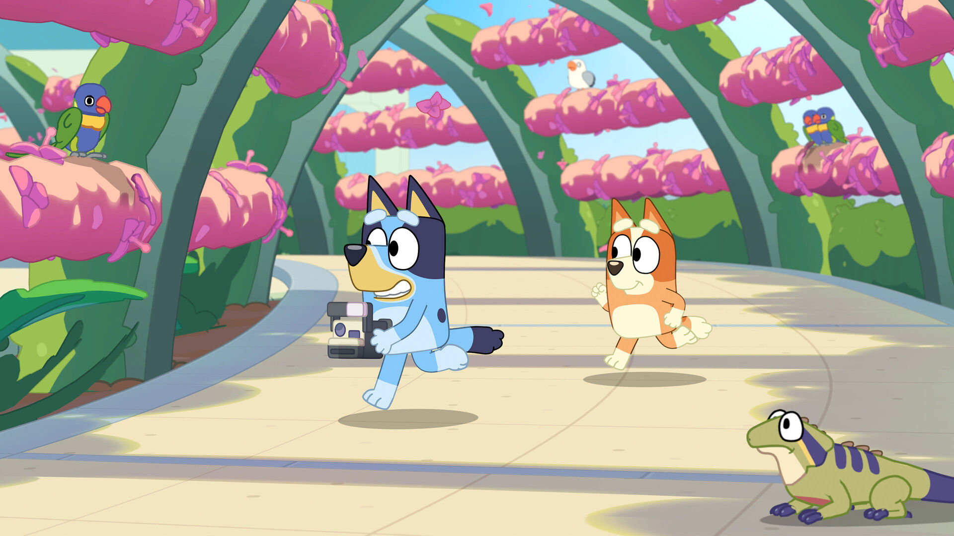 Bluey’s Happy Snaps-Oyun Günlüğü