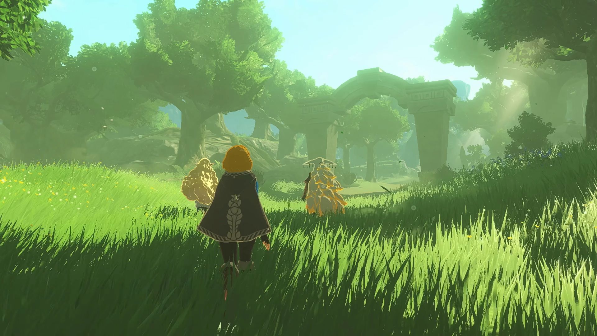 Hyrule Warriors: Age of Imprisonment - OG