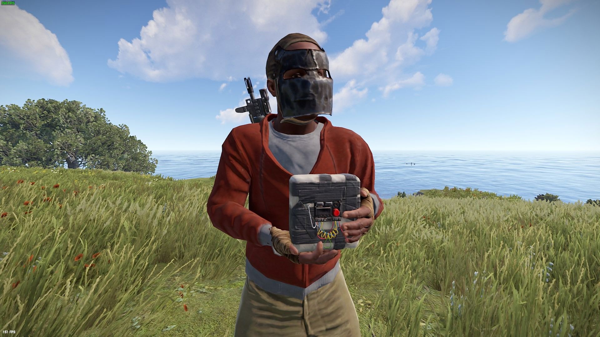 Rust - C4