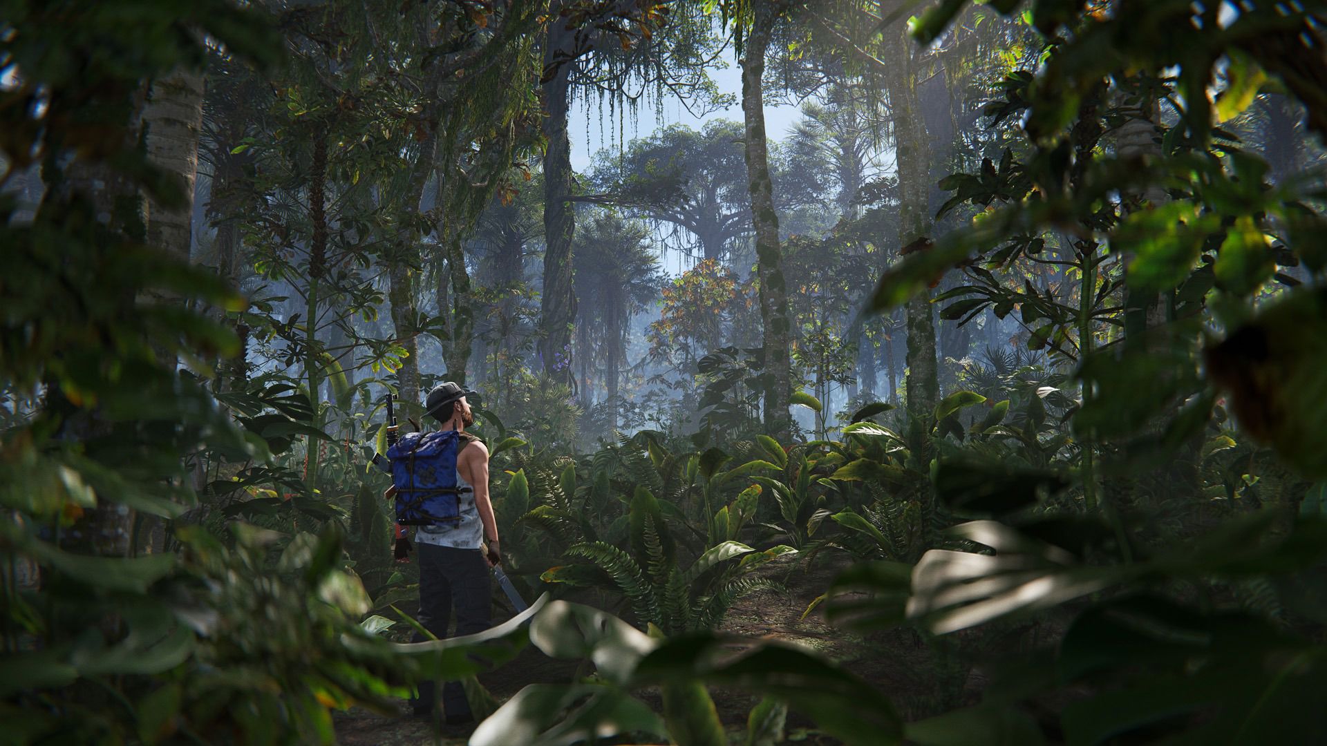 Rust sık orman biyomu - OG - 2