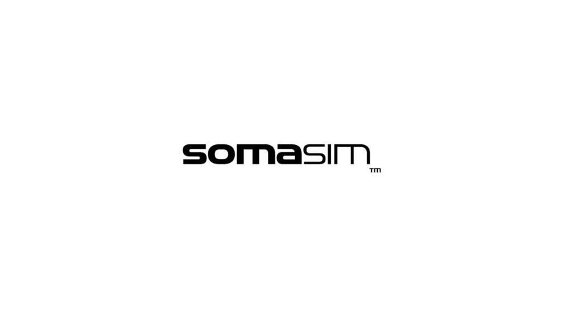 SomaSim - Logosu