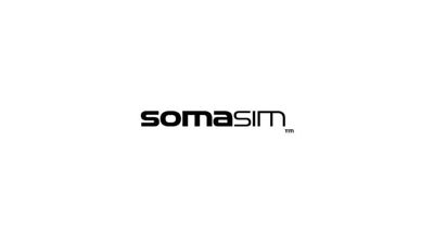 SomaSim
