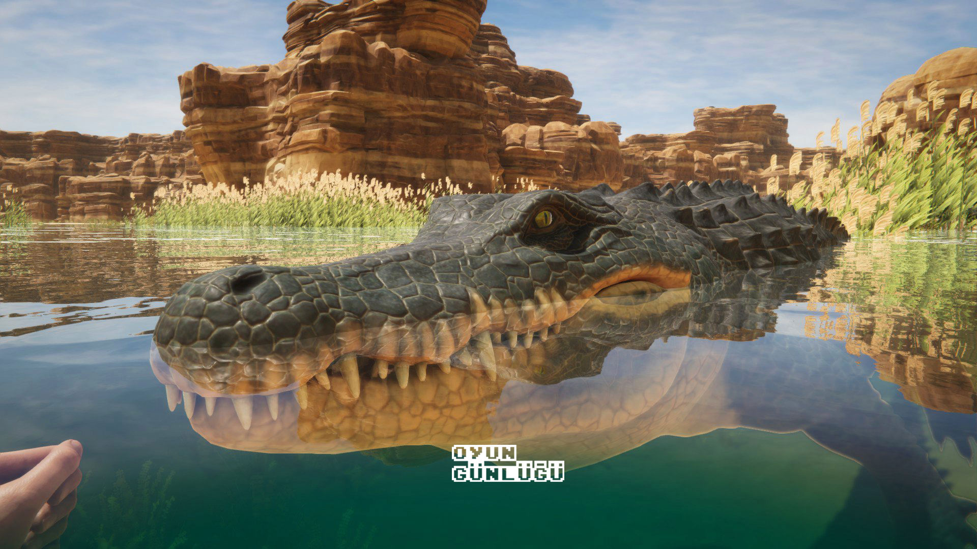 Hayatta kalma ve keşif oyunu Stranded Deep 2, kavurucu sıcak, kanyonlar, kumullar ve bunların arasından geçen sonsuz bir nehirde geçiyor.