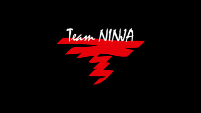 Team Ninja