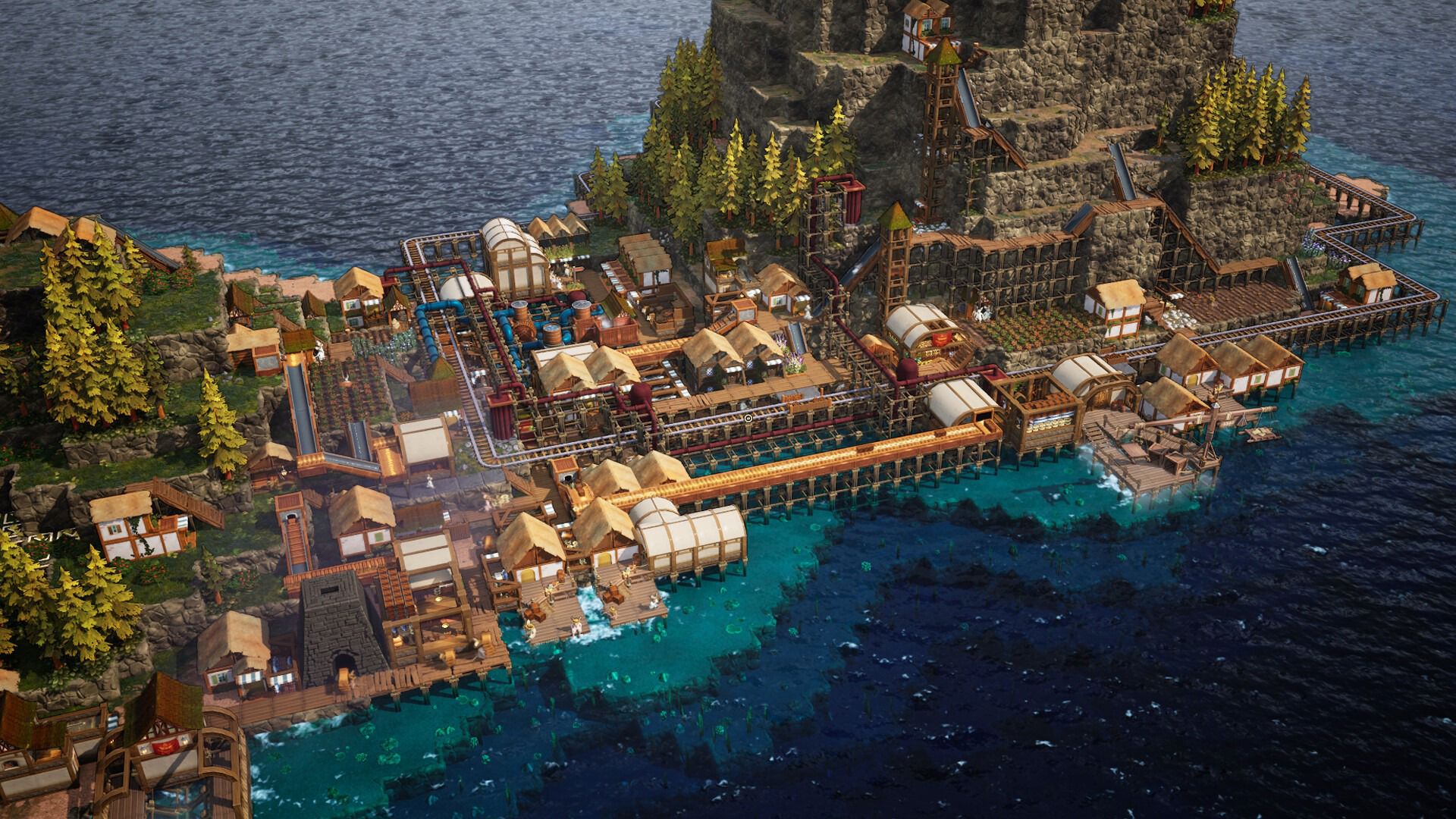 Whiskerwood - OG - 3